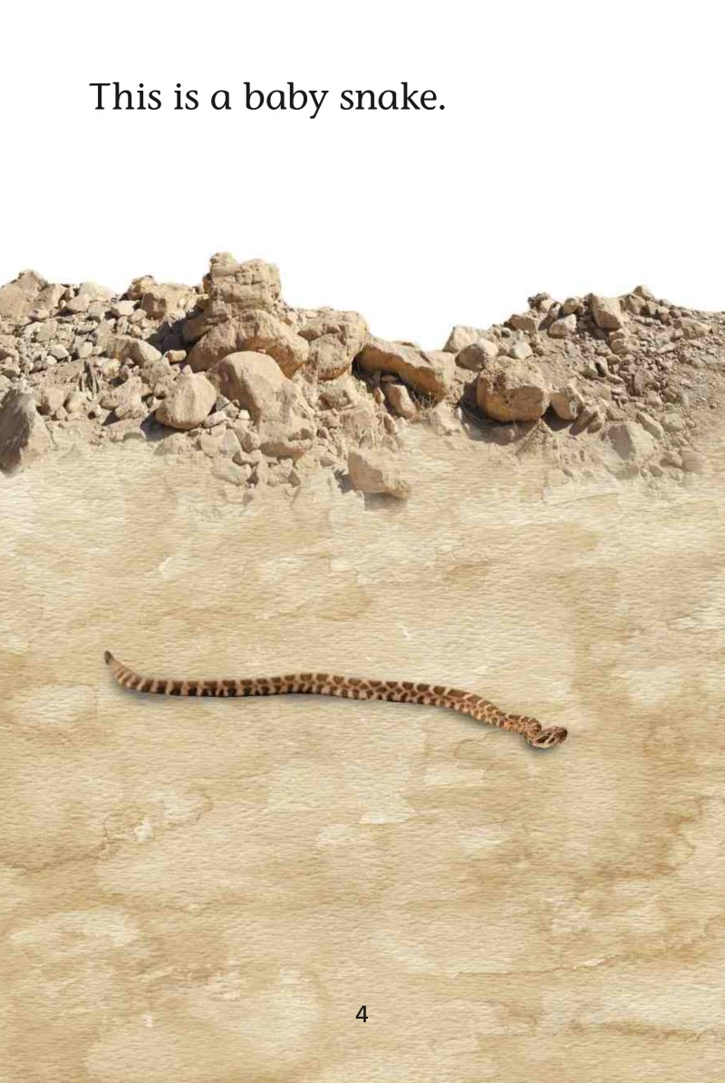Magic Readers: Snakes Eat and Grow — page 1