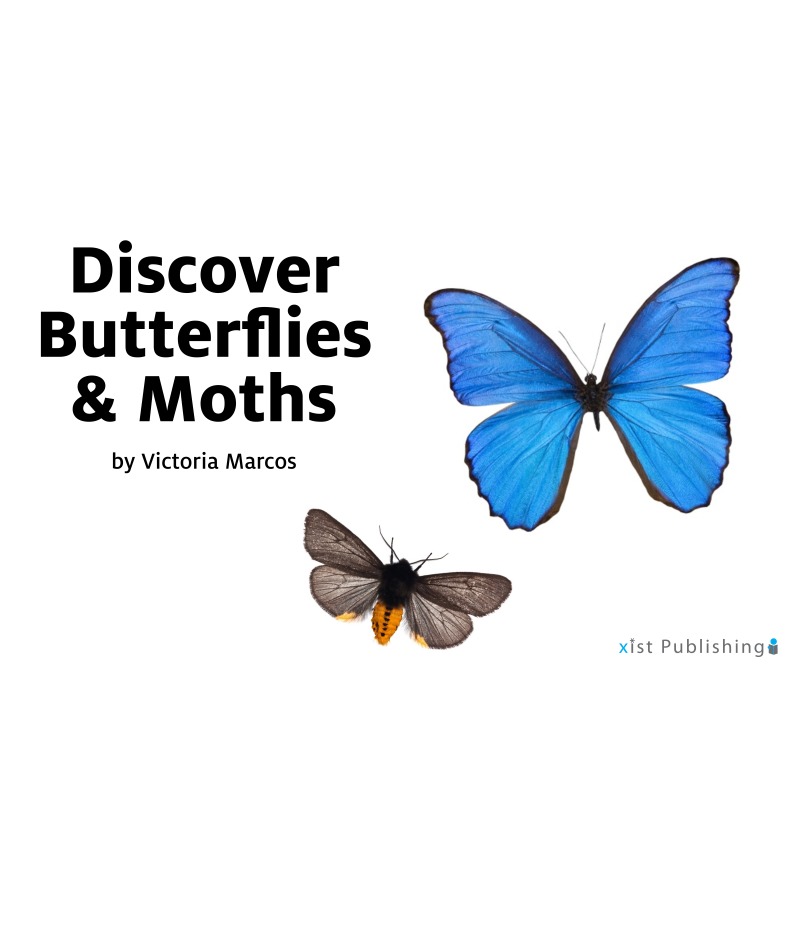 Discover Butterflies and Moths book cover