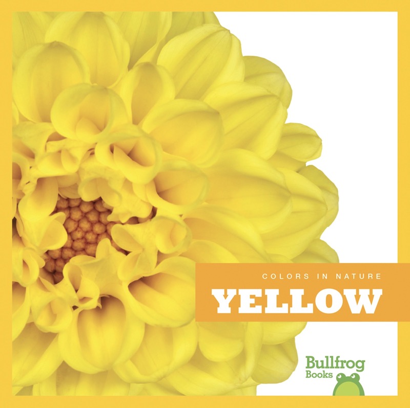 Colors In Nature: Yellow book cover