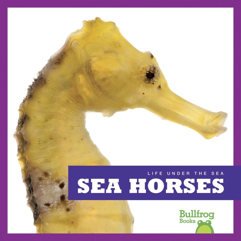 Life Under The Sea: Sea Horses book cover