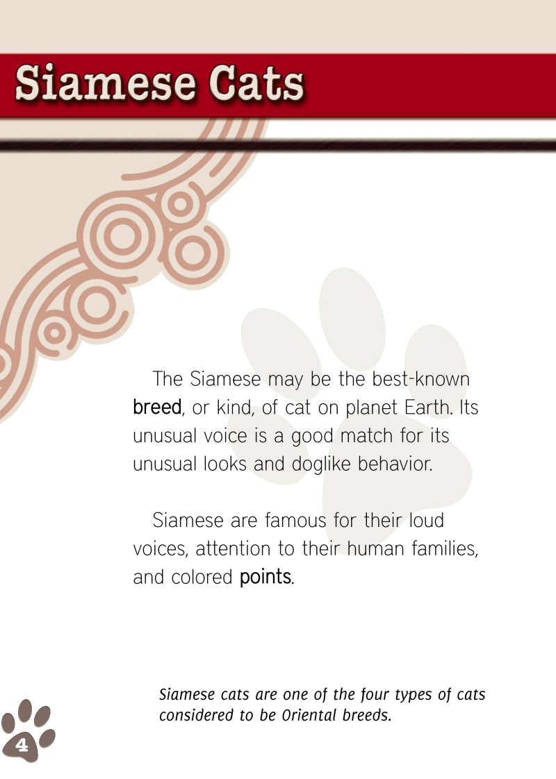 Eye To Eye With Cats: Siamese Cats — page 1