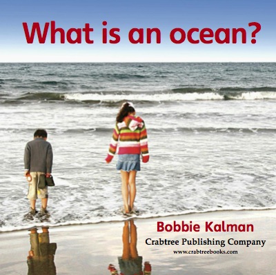 What Is An Ocean? book cover