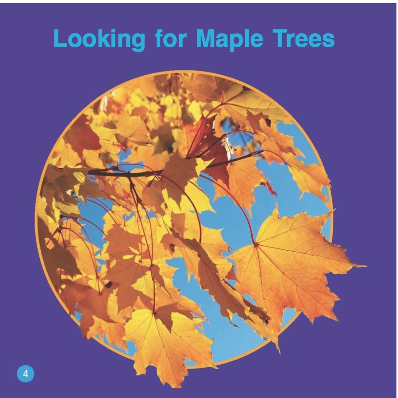 Maple Trees — page 1