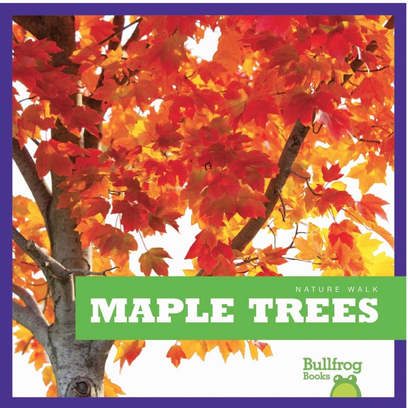 Maple Trees book cover
