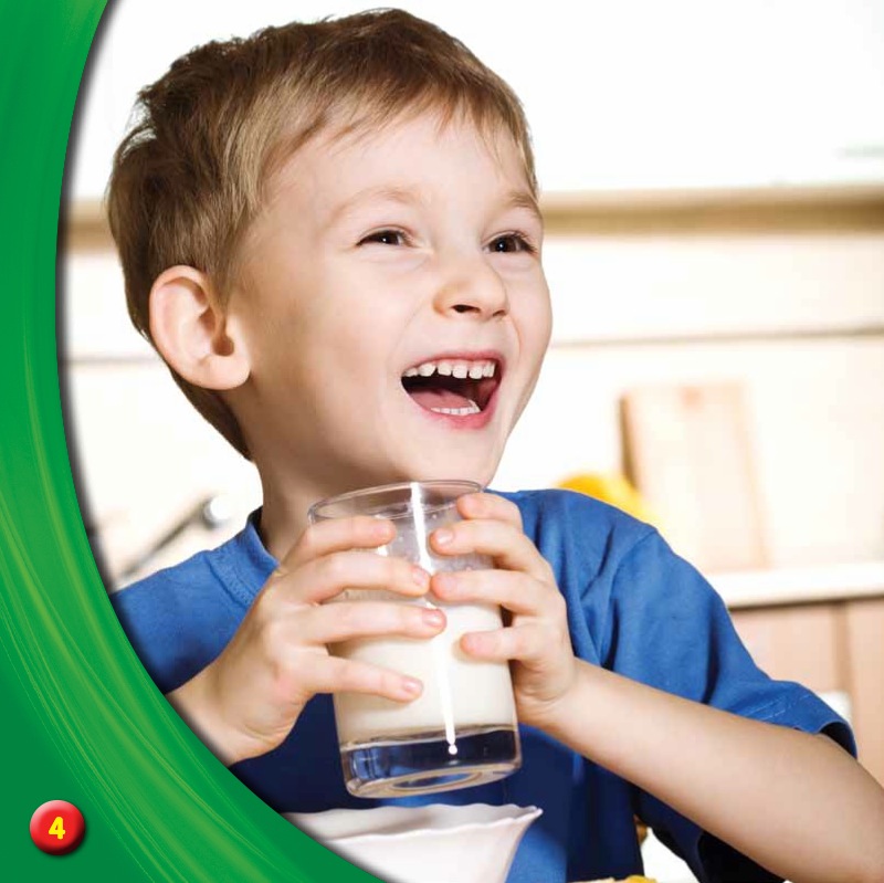 Your Healthy Plate: Dairy — page 1