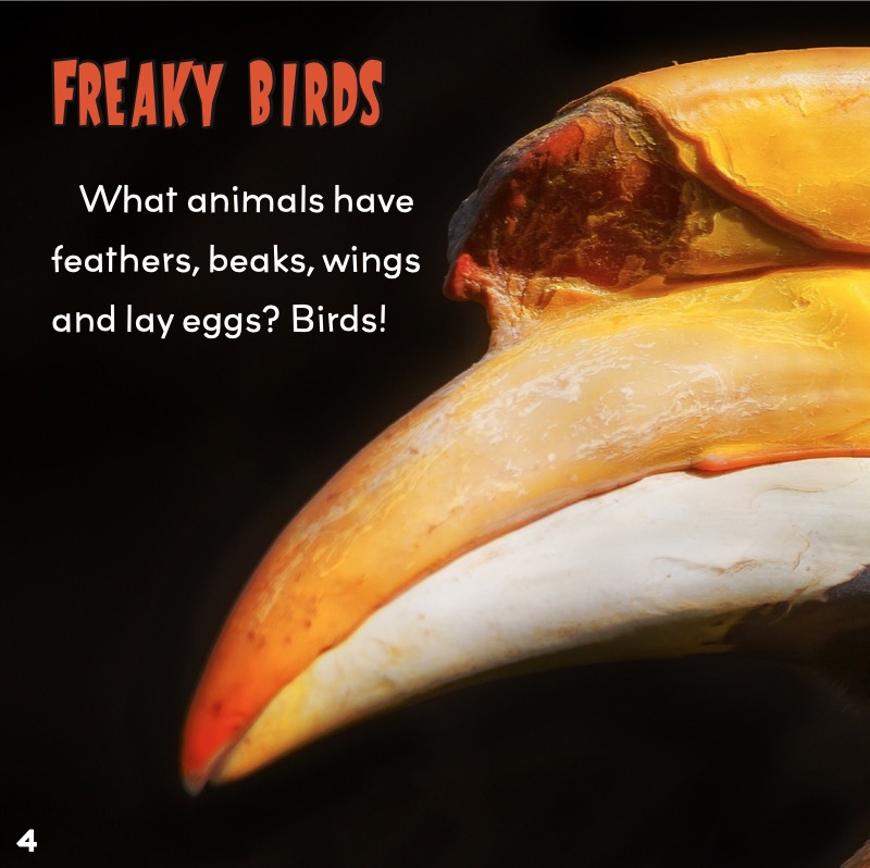 Creepy But Cool Birds — page 1