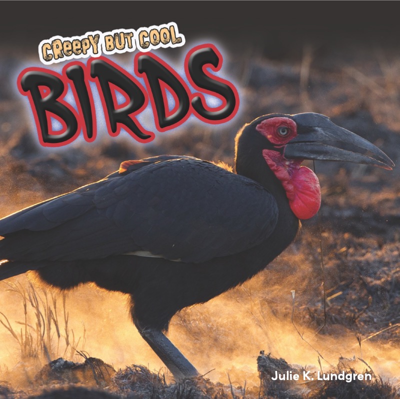 Creepy But Cool Birds book cover