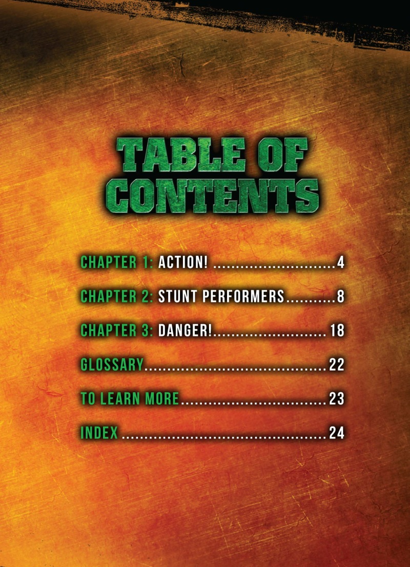 Stunt Performer book cover