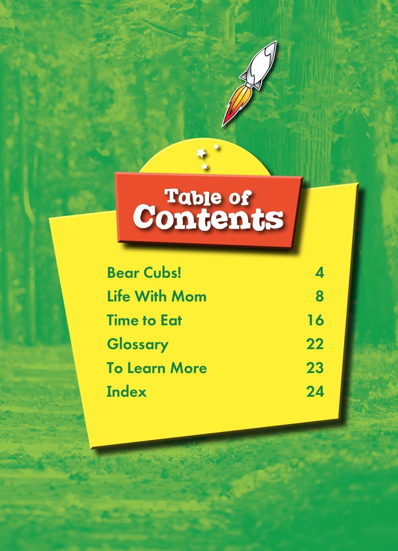 Super Cute! Baby Bears book cover