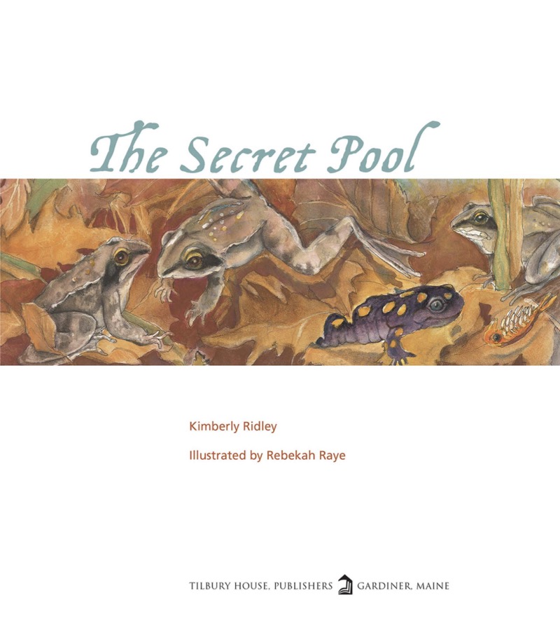 The Secret Pool book cover
