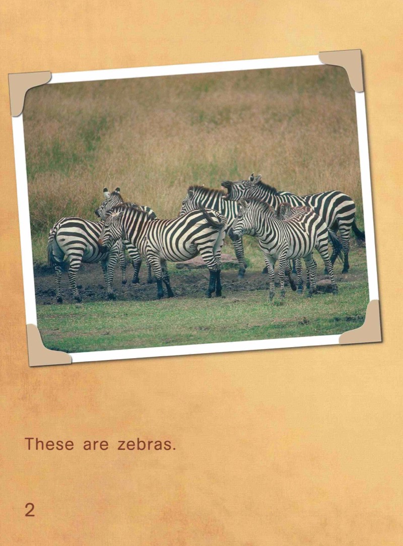 Go Wild Zebras — page 1