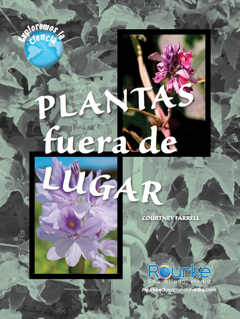 Plantas fuera de lugar — page 1