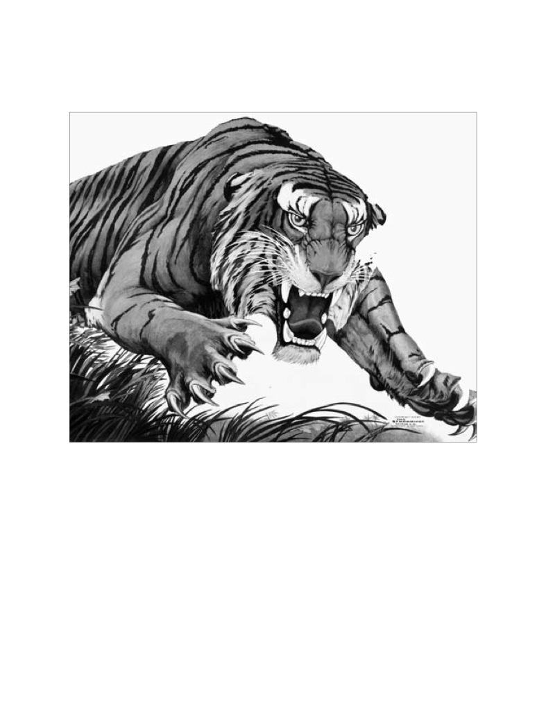 Tents, Tigers and the Ringling Brothers — page 1