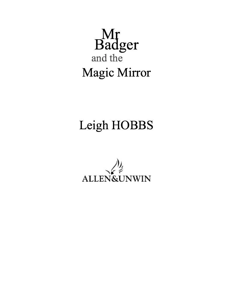 Mr Badger and the Magic Mirror book cover