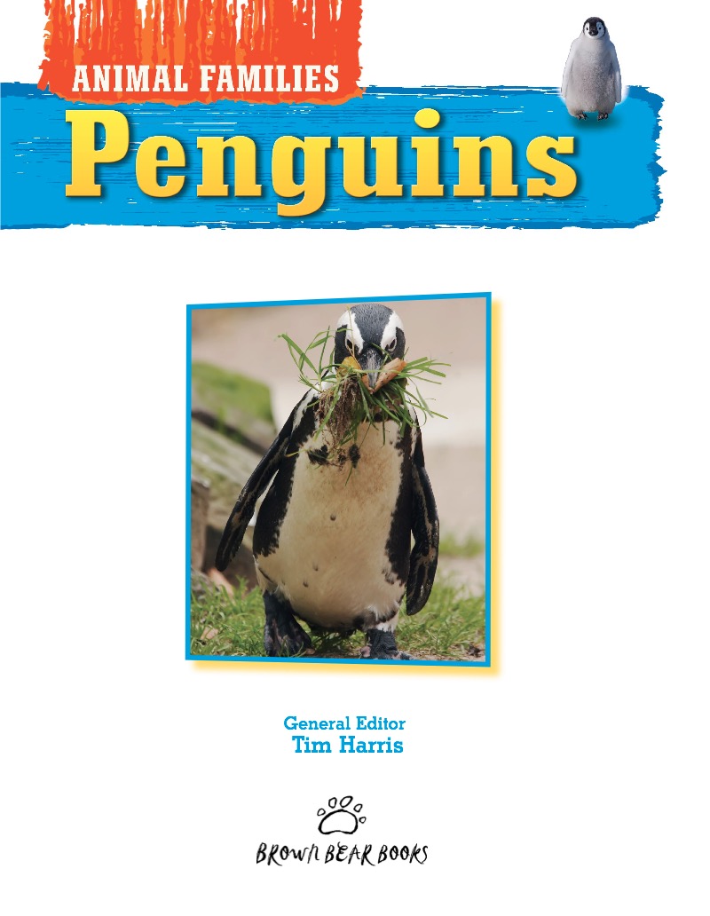 Penguins book cover