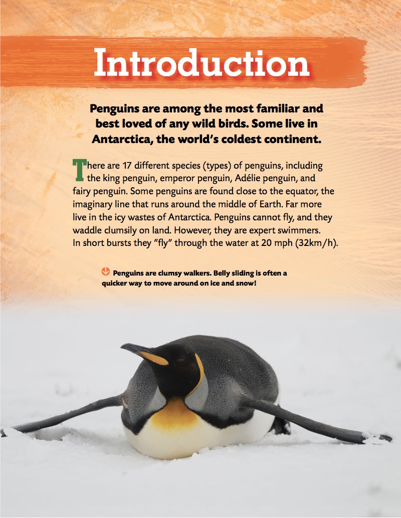 Penguins — page 1