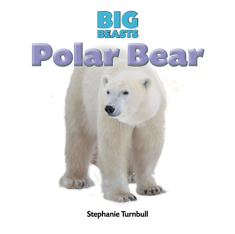 Polar Bear book cover