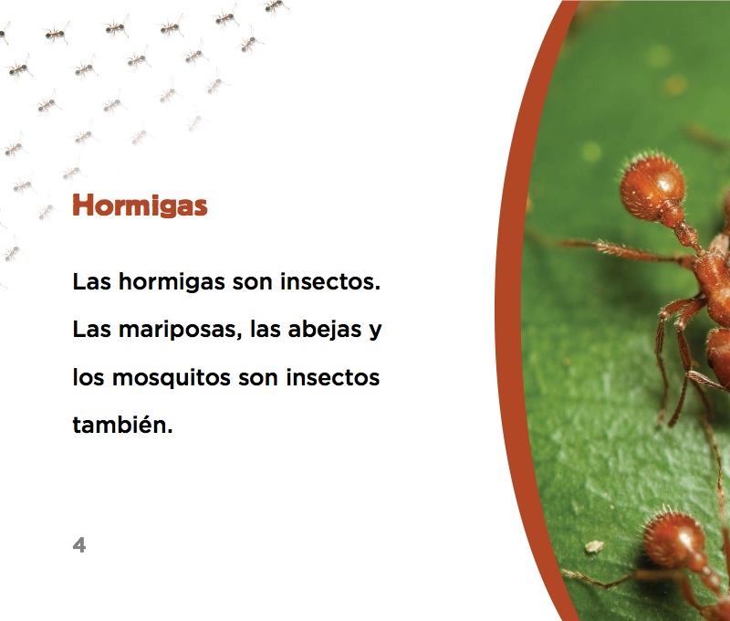 Hormigas — page 1