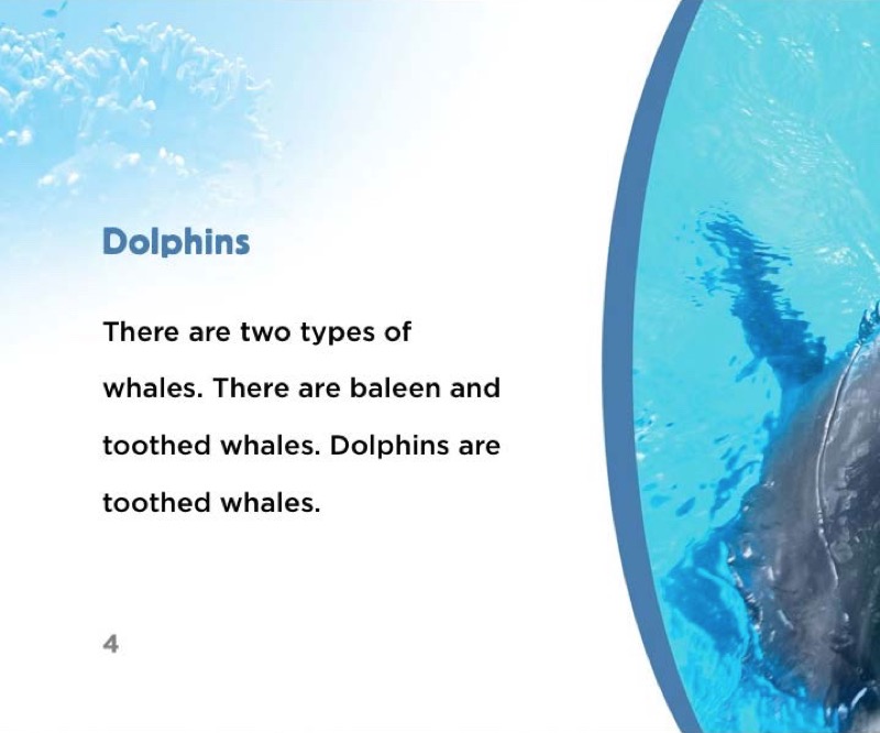 Dolphins — page 1