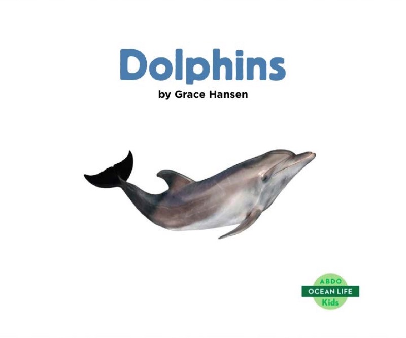 Dolphins book cover