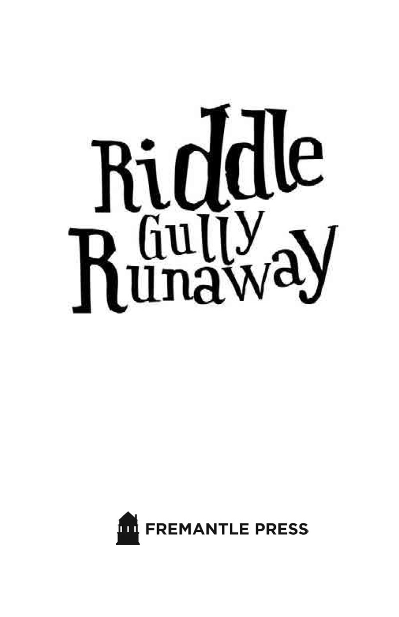 Riddle Gully Runaway book cover