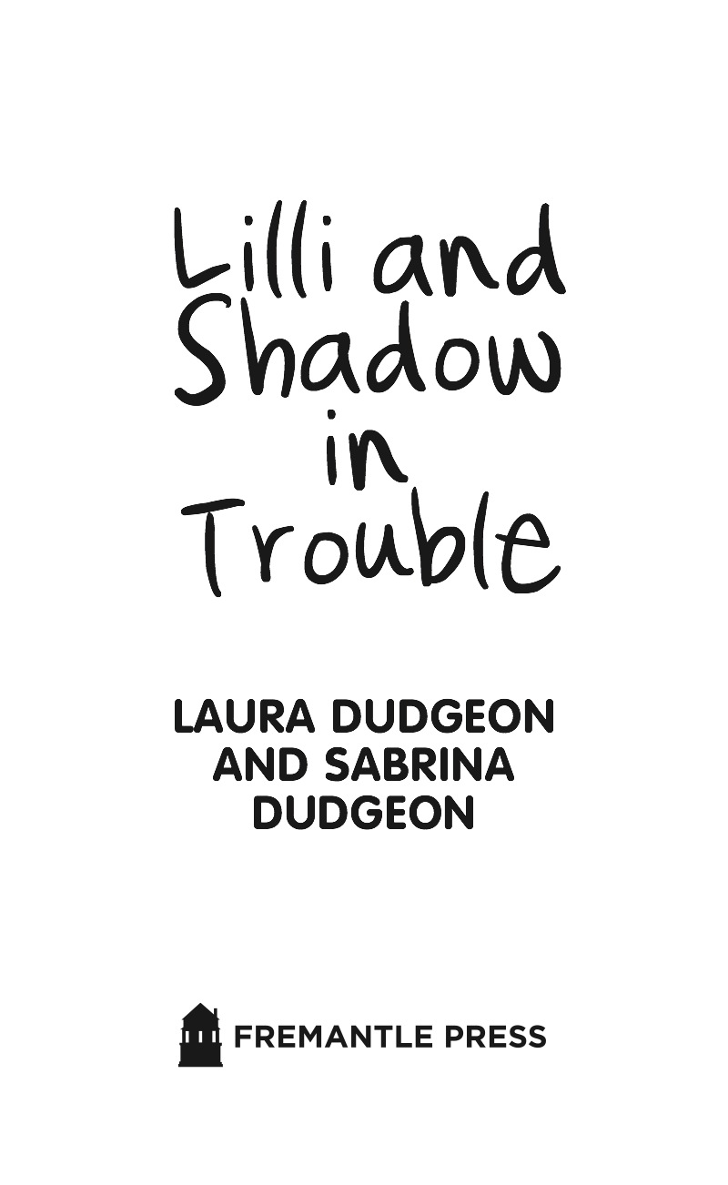 Lilli and Shadow in Trouble book cover