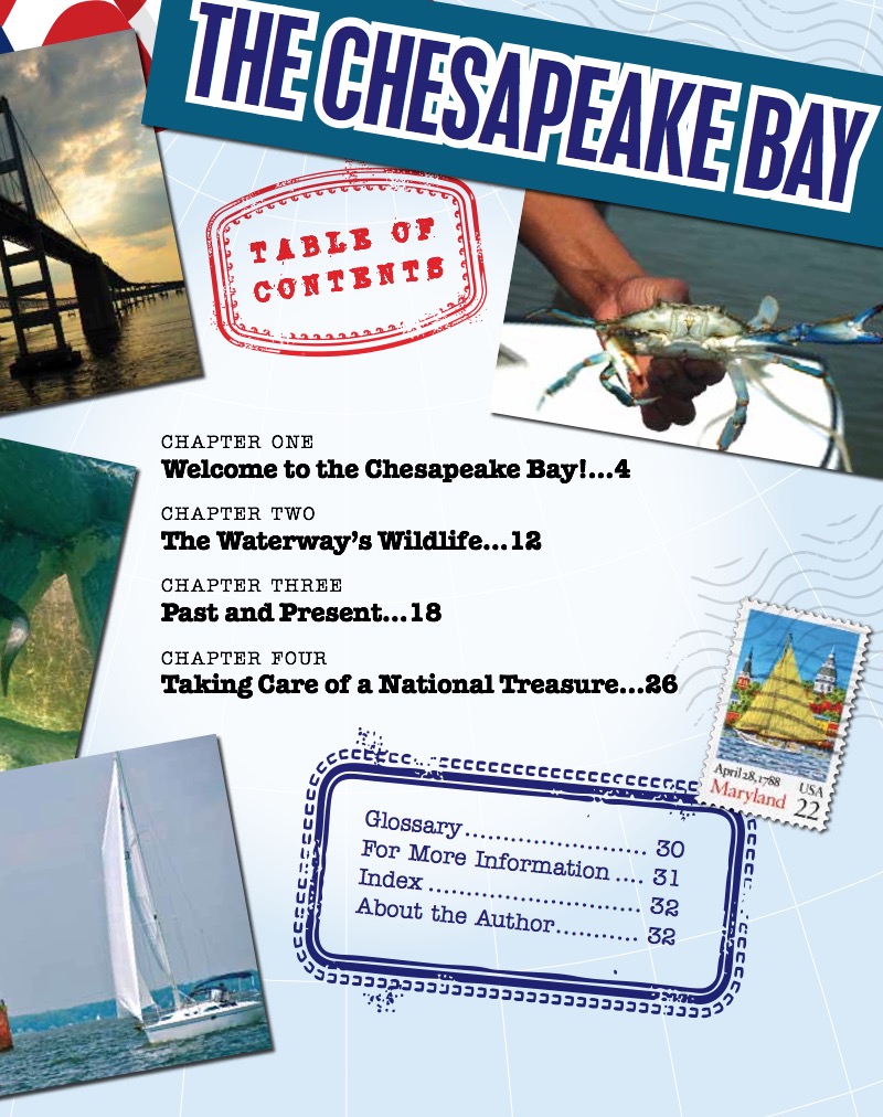 The Chesapeake Bay book cover