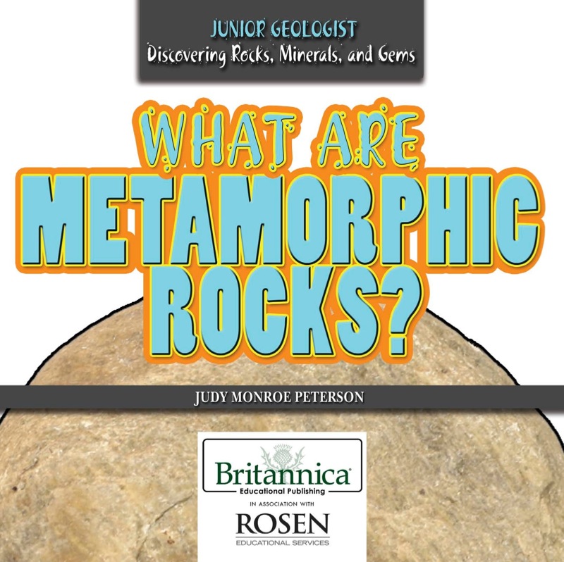 What Are Metamorphic Rocks? book cover