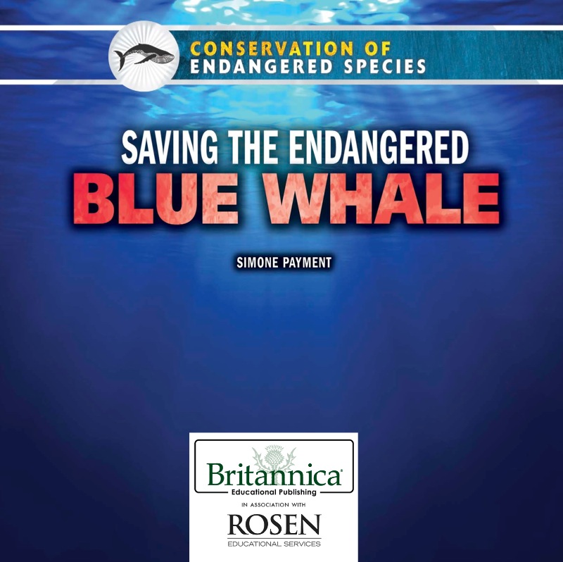 Saving the Endangered Blue Whale book cover