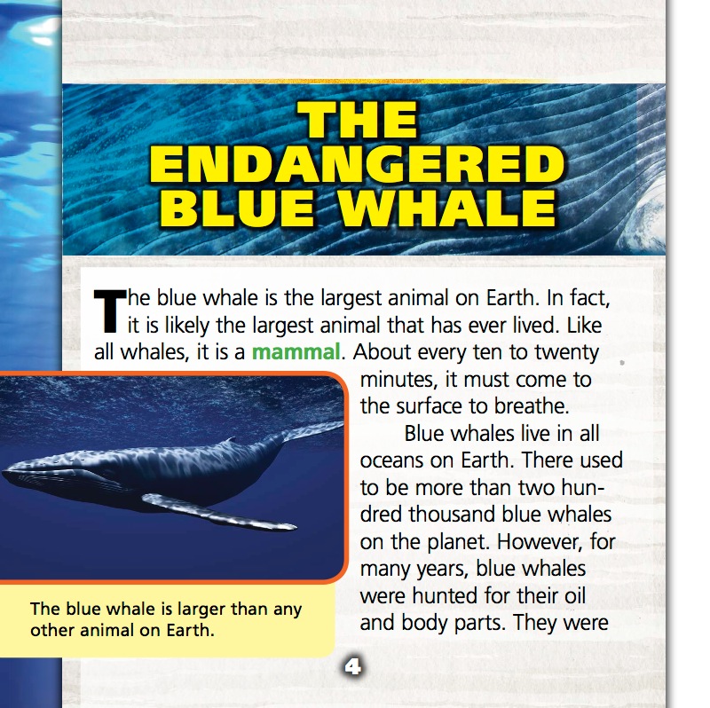 Saving the Endangered Blue Whale — page 1