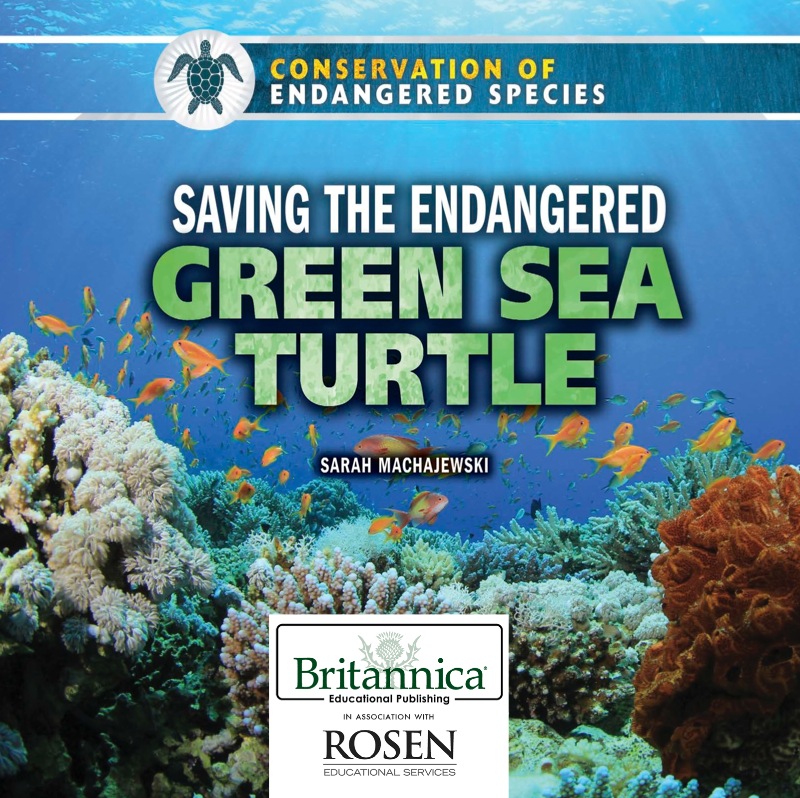 Saving the Endangered Green Sea Turtle book cover