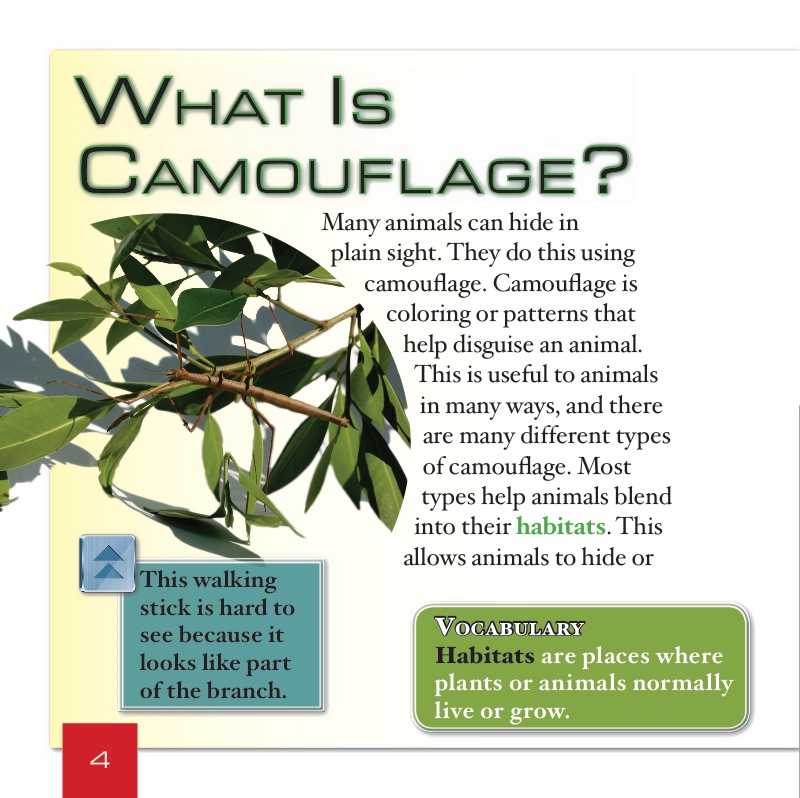 What Is Animal Camouflage? — page 1