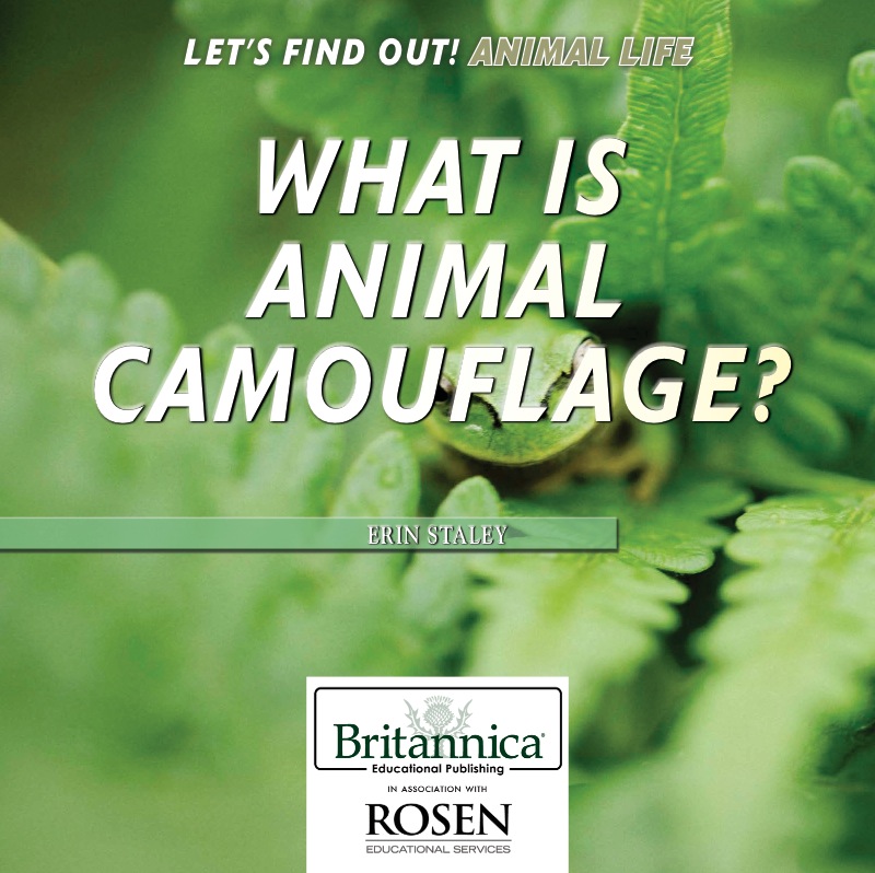 What Is Animal Camouflage? book cover