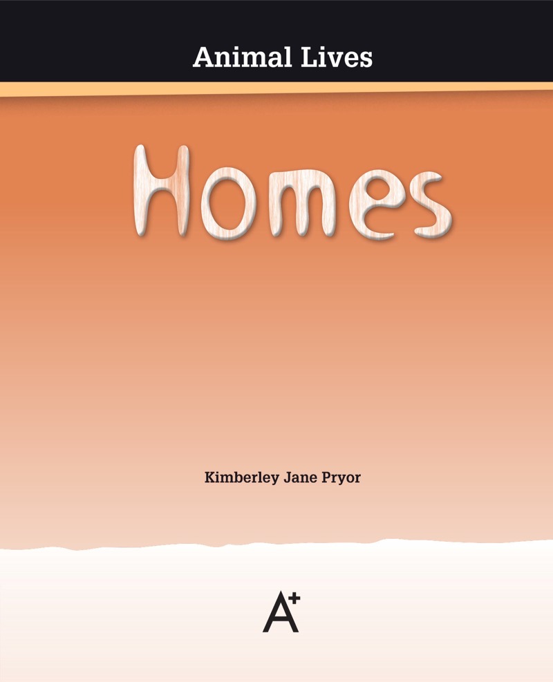 Homes book cover