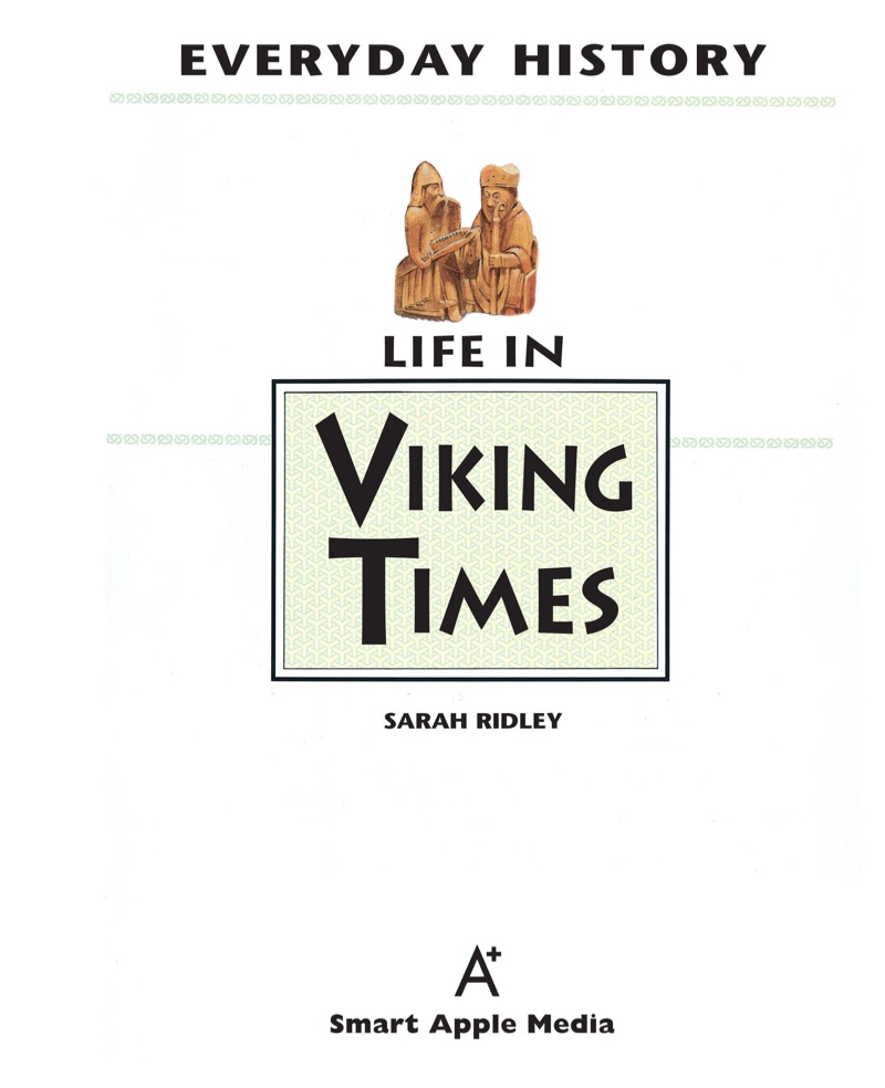 Life in Viking Times book cover