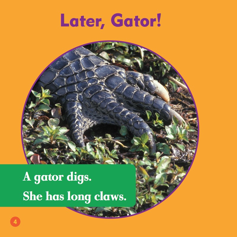 Reptile World: Alligators — page 1