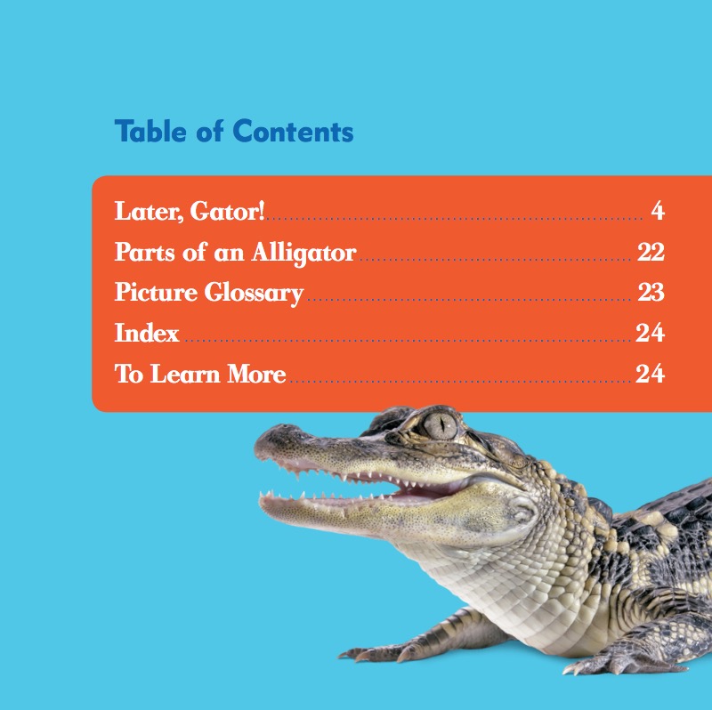 Reptile World: Alligators book cover