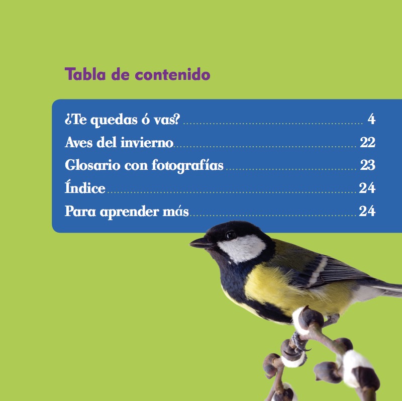 Las Aves en el Invierno (¿Qué Pasa en el Invierno?) book cover