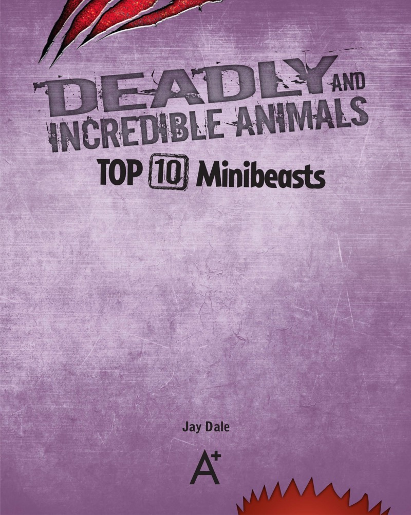 Top 10 Minibeasts book cover