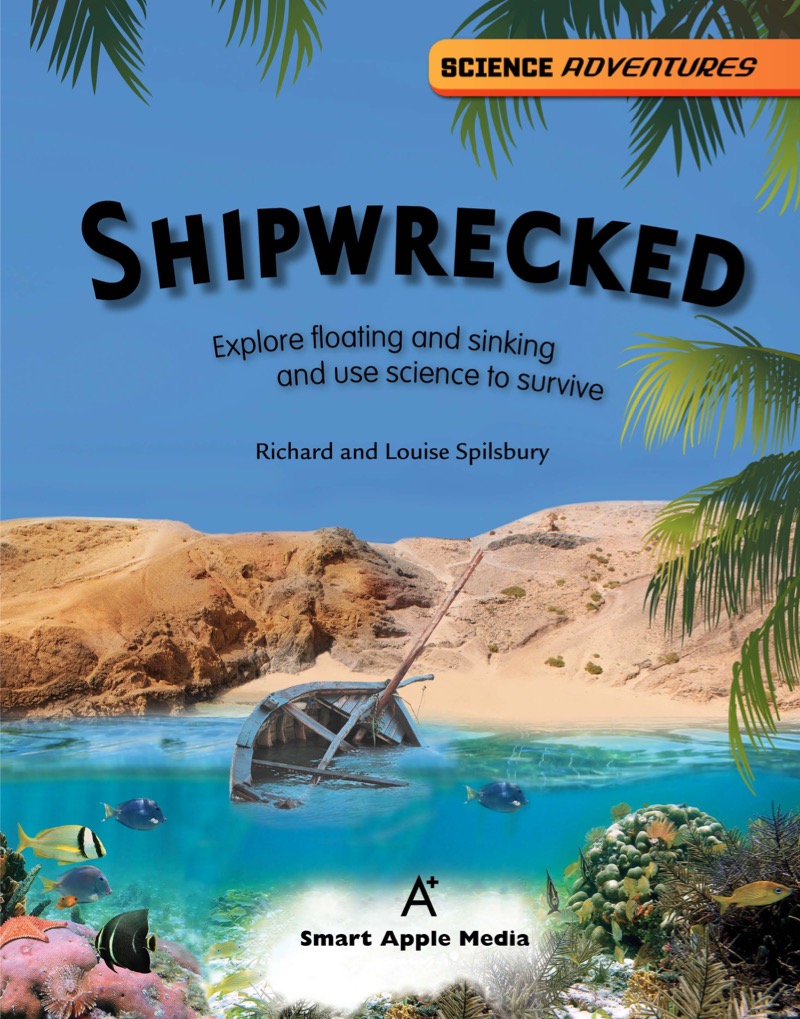 Shipwrecked book cover