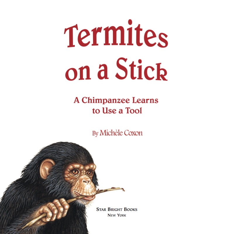 Termites on a Stick book cover