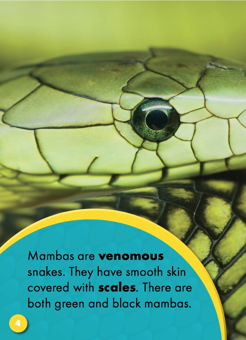 Mambas — page 1