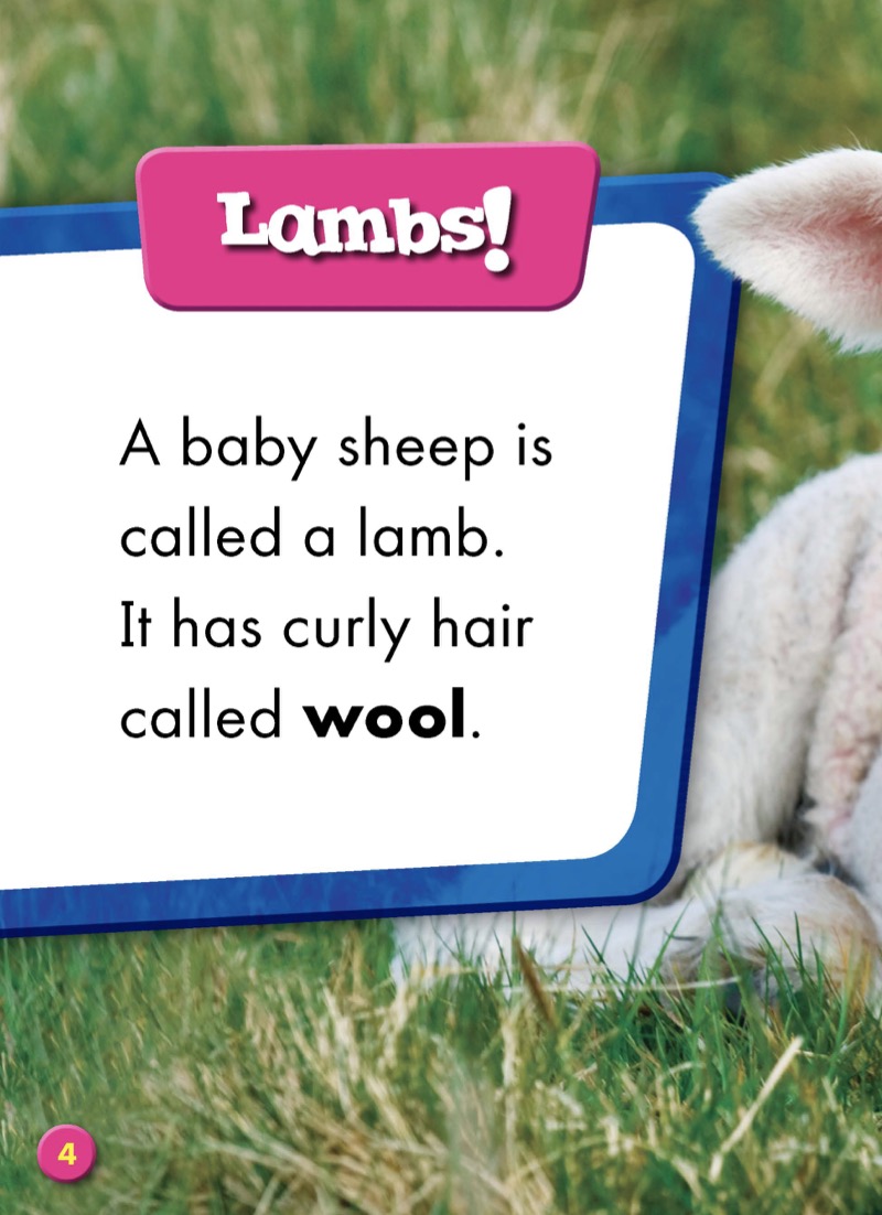 Super Cute! Baby Sheep — page 1