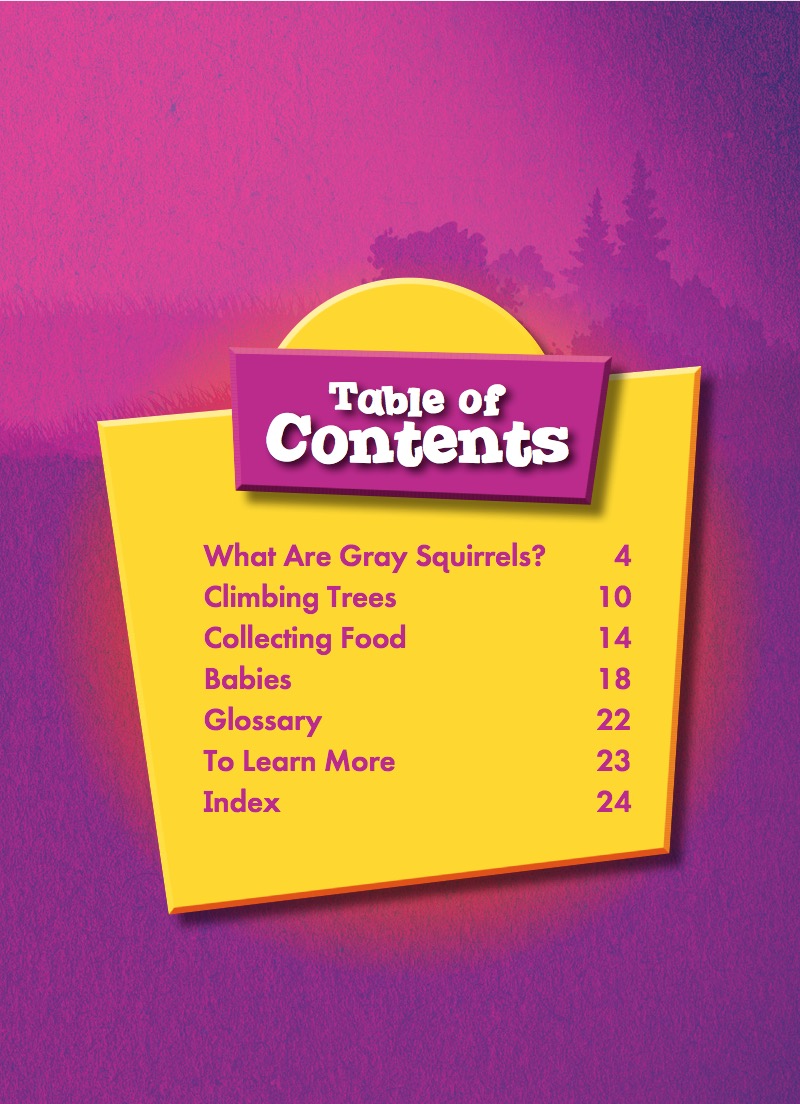 Gray Squirrels book cover