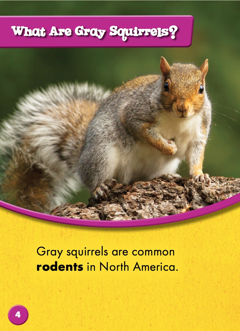 Gray Squirrels — page 1