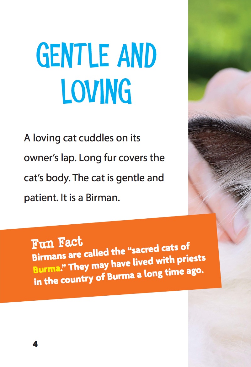 Birman Cats — page 1