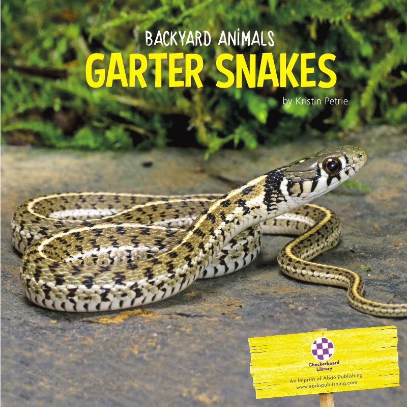 Garter Snakes book cover