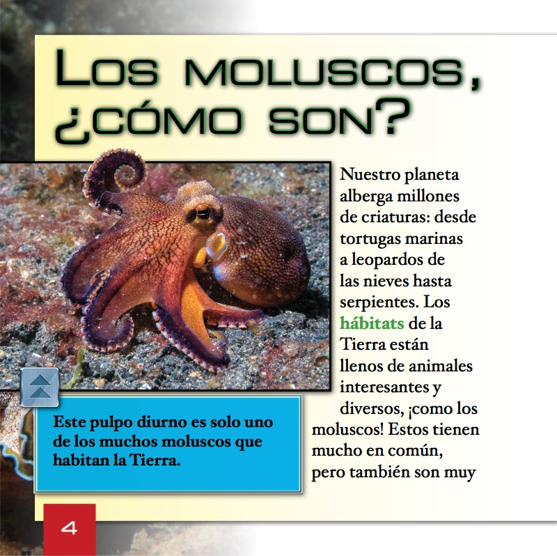 ¿Qué son los moluscos? — page 1