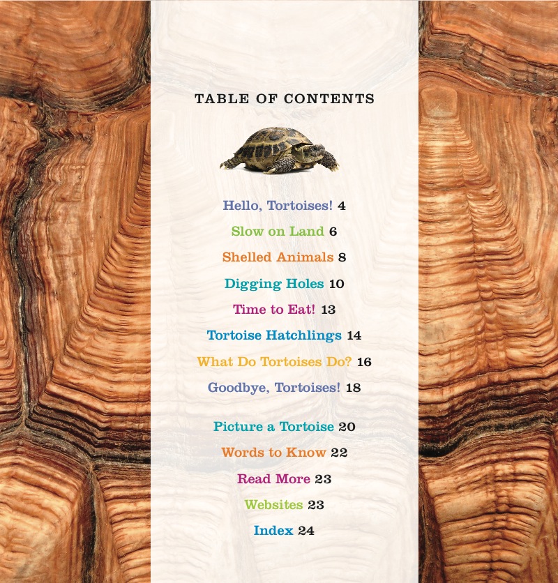Tortoises book cover