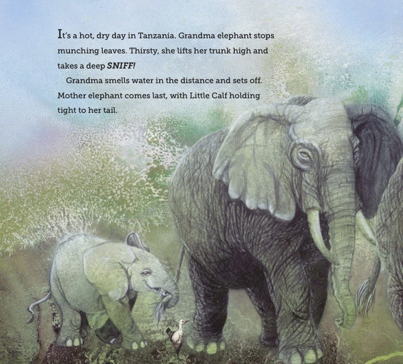Thirsty, Thirsty Elephants — page 1
